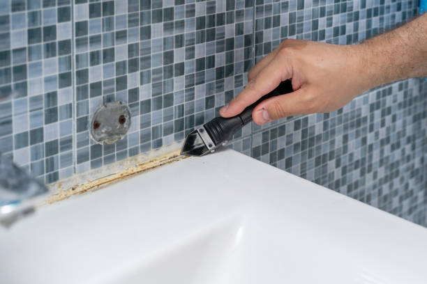 Best Fast Mold Removal  in Suncook, NH