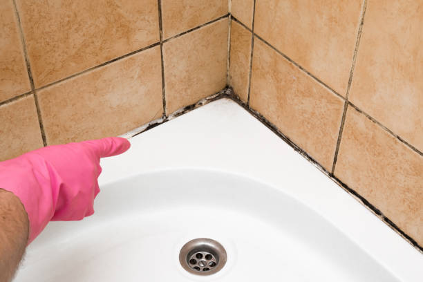 Best Affordable Mold Removal  in Suncook, NH